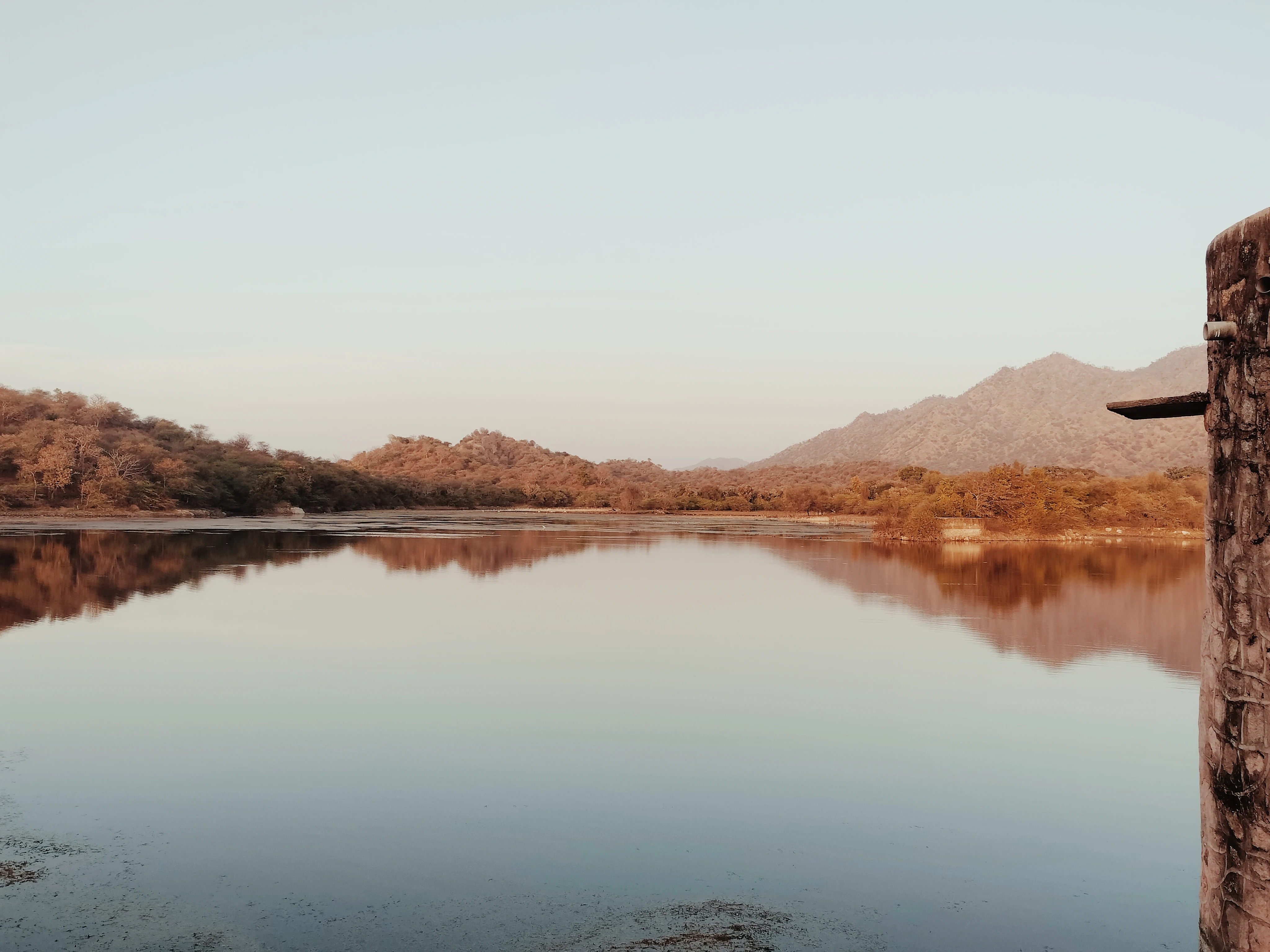 Lac aux crocodiles (Ranakpur)
